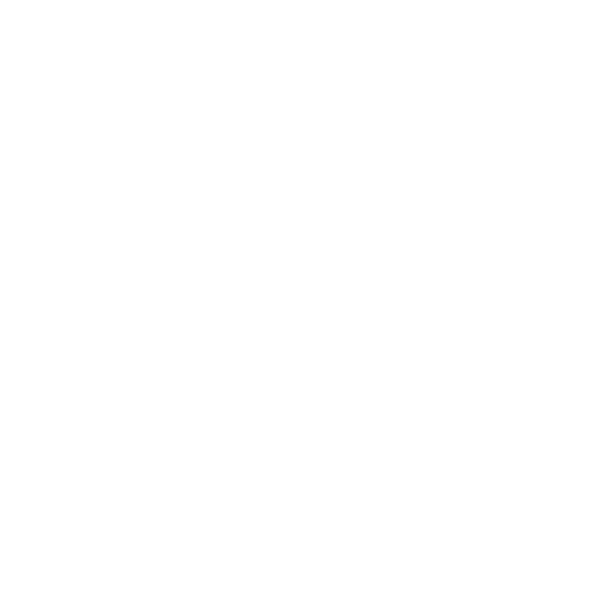 Formula 1